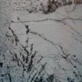 Bianco Antique Granite Slabs Countertops China