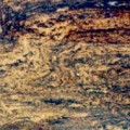 Comsic Gold Granite Slabs China
