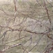 Forest Green Marble Slabs China | Forest Green Marble Tiles China | Global Stone