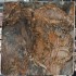 Red Phoenix Marble Slabs China | Red Phoenix Marble Tiles China | Global Stone