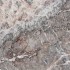 Fior Di Pesco Marble Slabs China | Fior Di Pesco Marble Tiles China | Global Stone